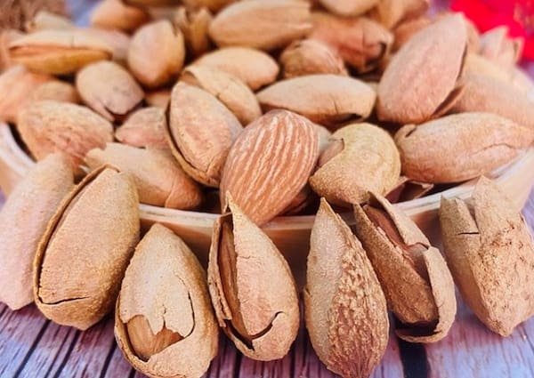 تصویر 5 از قیمت بادام منقا پوست کاغذی با کیفیت ارزان + خرید عمده